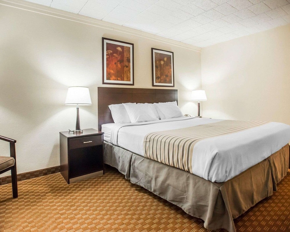 Standard Room, 1 King Bed, Non Smoking - Photo 1