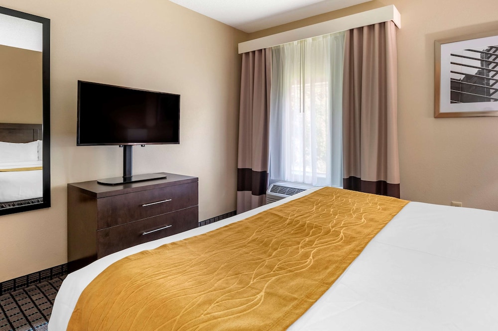 Suite, 1 King Bed with Sofa bed, Non Smoking - Photo 2