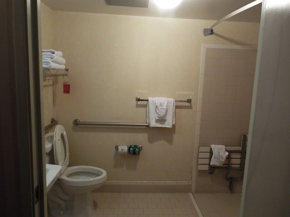 Suite, 1 King Bed with Sofa bed, Accessible, Non Smoking - Photo 4
