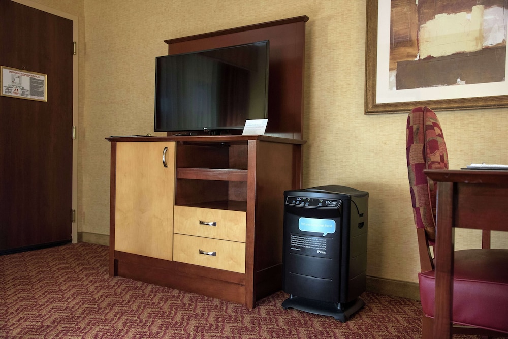 Room, 1 King Bed, Accessible, Allergy Friendly (Hearing Acc, In-room air purification)