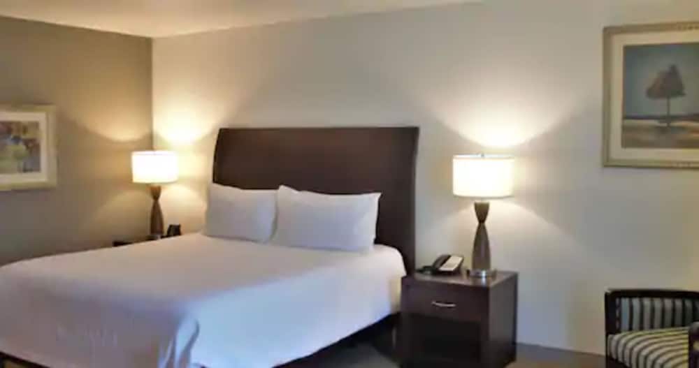 Room, 1 King Bed, Accessible - Photo 2