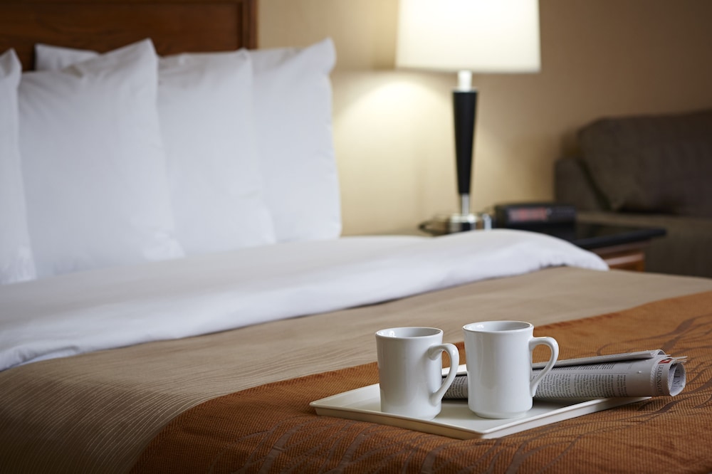 Standard Room, 1 King Bed, Non Smoking - Photo 1