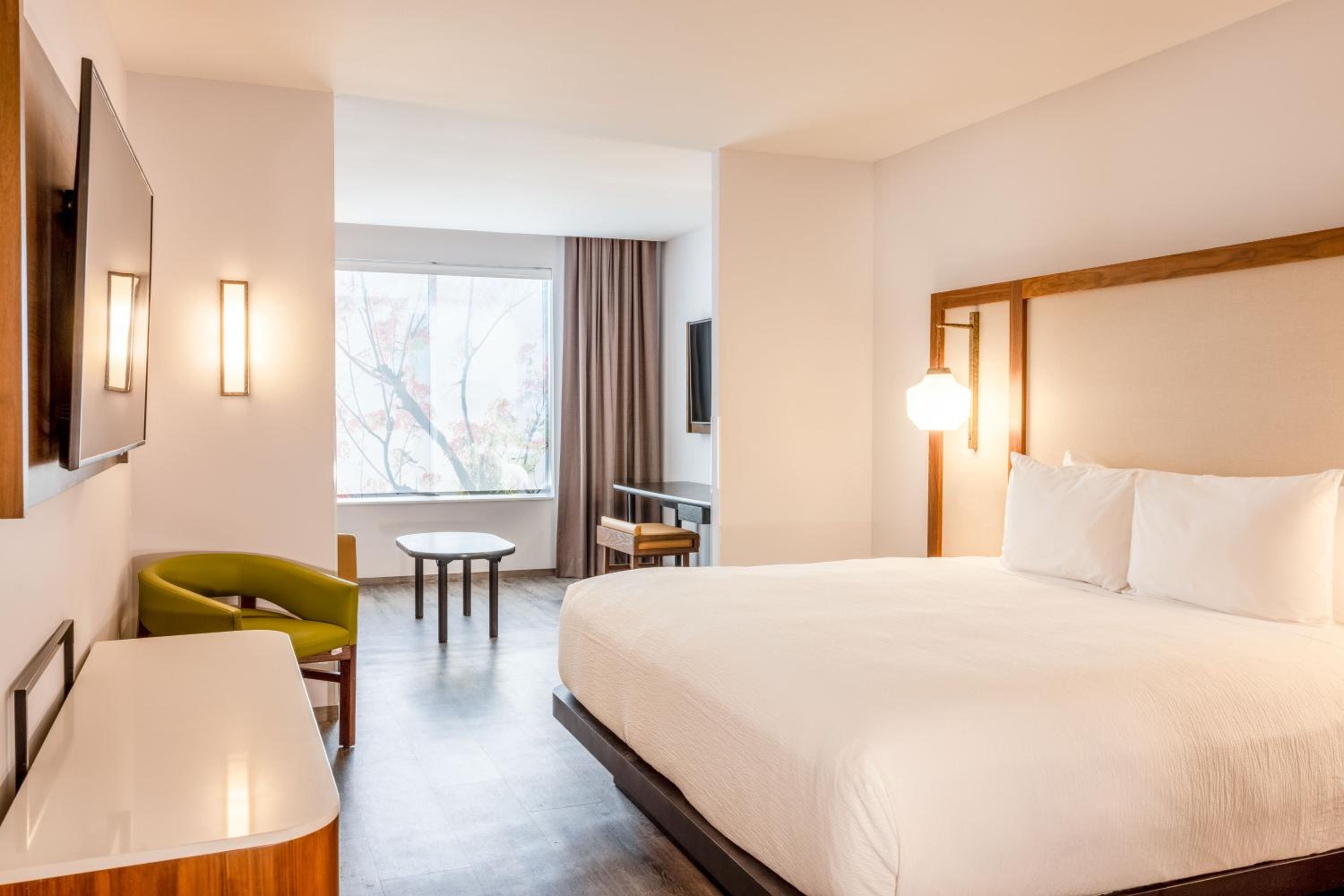 Suite, 1 King Bed with Sofa bed