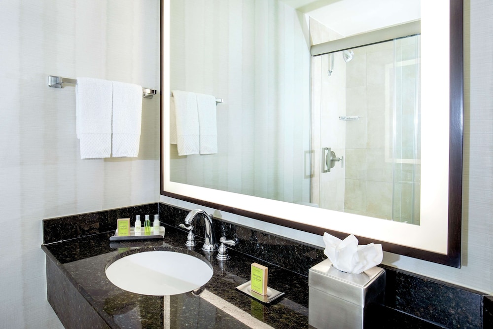 Room, 1 King Bed, Accessible (Roll-In Shower) - Photo 6