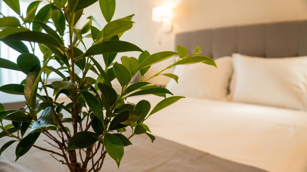 Grand Suite photo 2