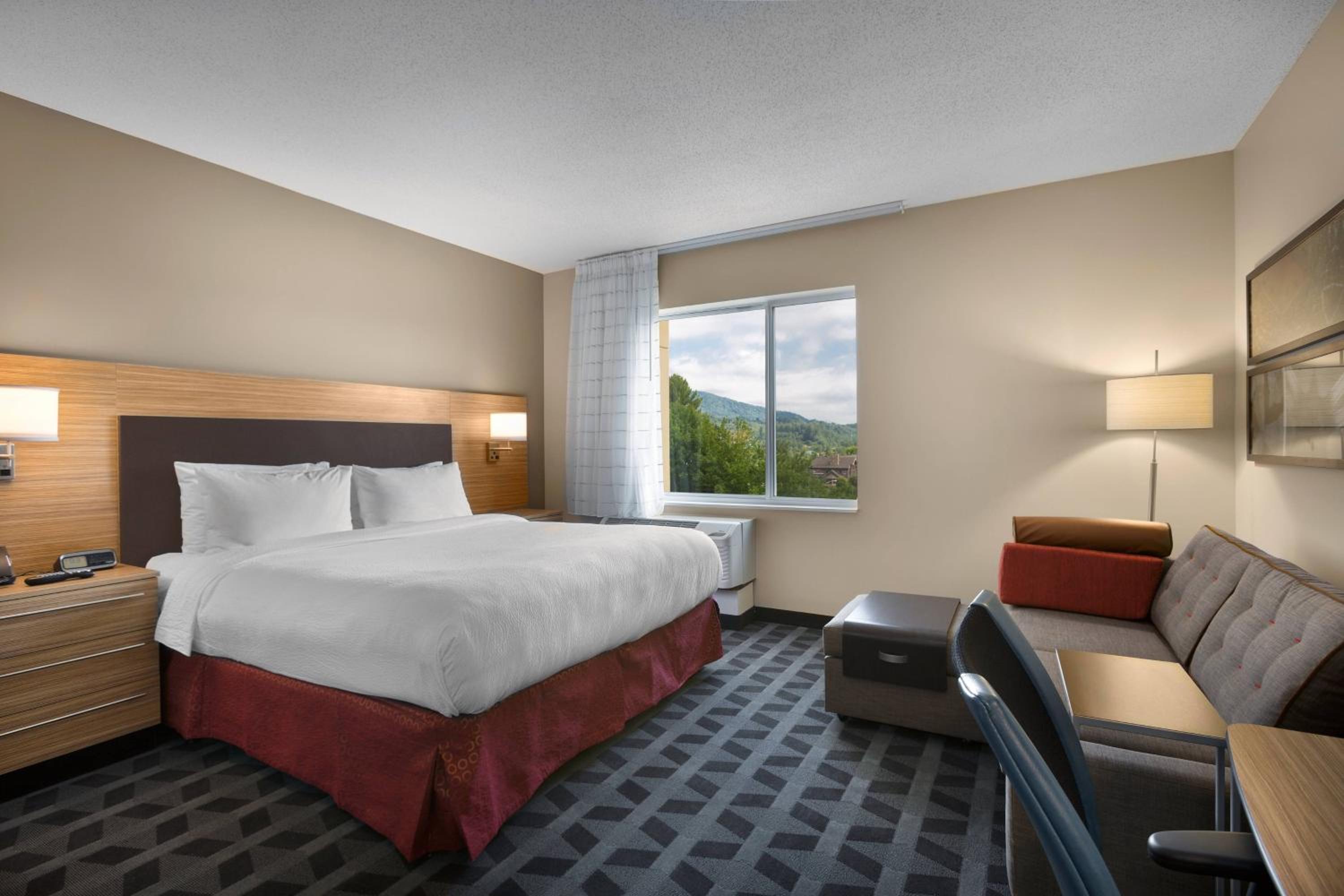 King Studio with Sofa Bed and Mountain View - Hearing Accessible