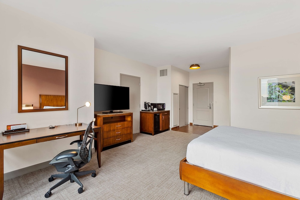 Room, 1 King Bed, Accessible (Roll-In Shower) - Photo 4