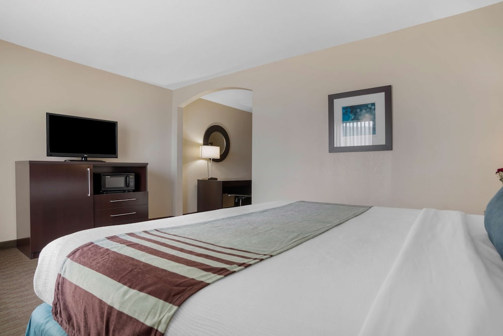 Deluxe Suite, 1 King Bed, Non Smoking, Refrigerator & Microwave (With Sofabed) - Photo 4