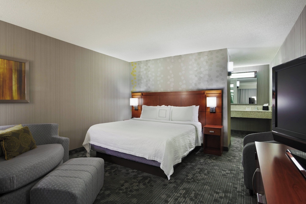 Suite, 1 Bedroom - Photo 1