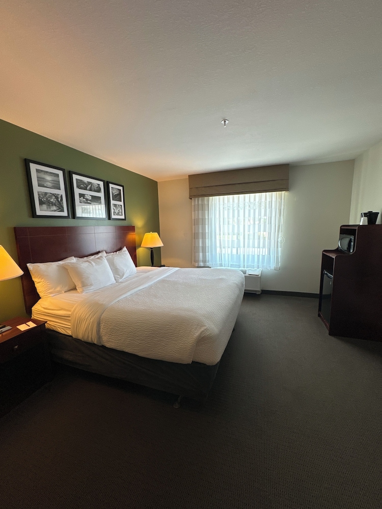 Suite, 1 King Bed with Sofa bed, Non Smoking photo 2