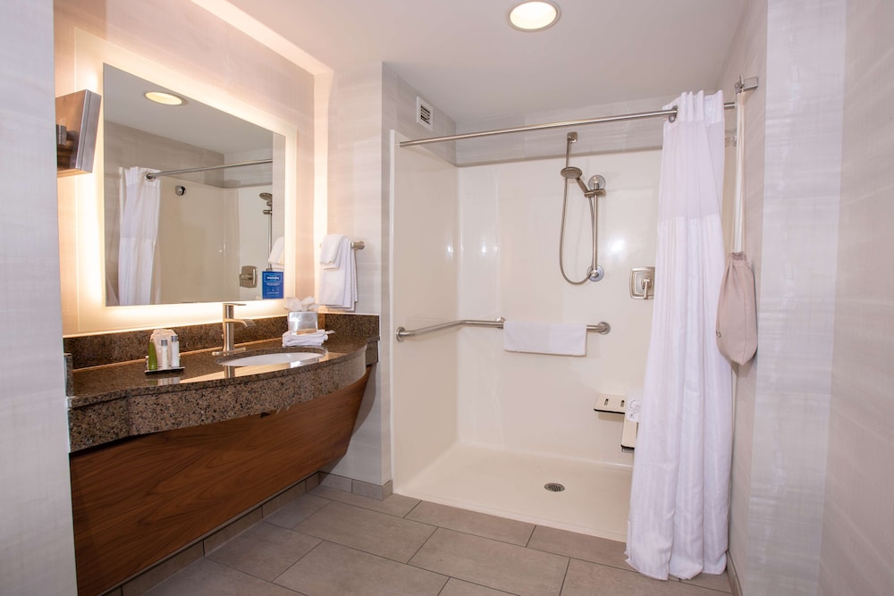 Room, 1 King Bed, Accessible, Non Smoking (Roll-In Shower) - Photo 7