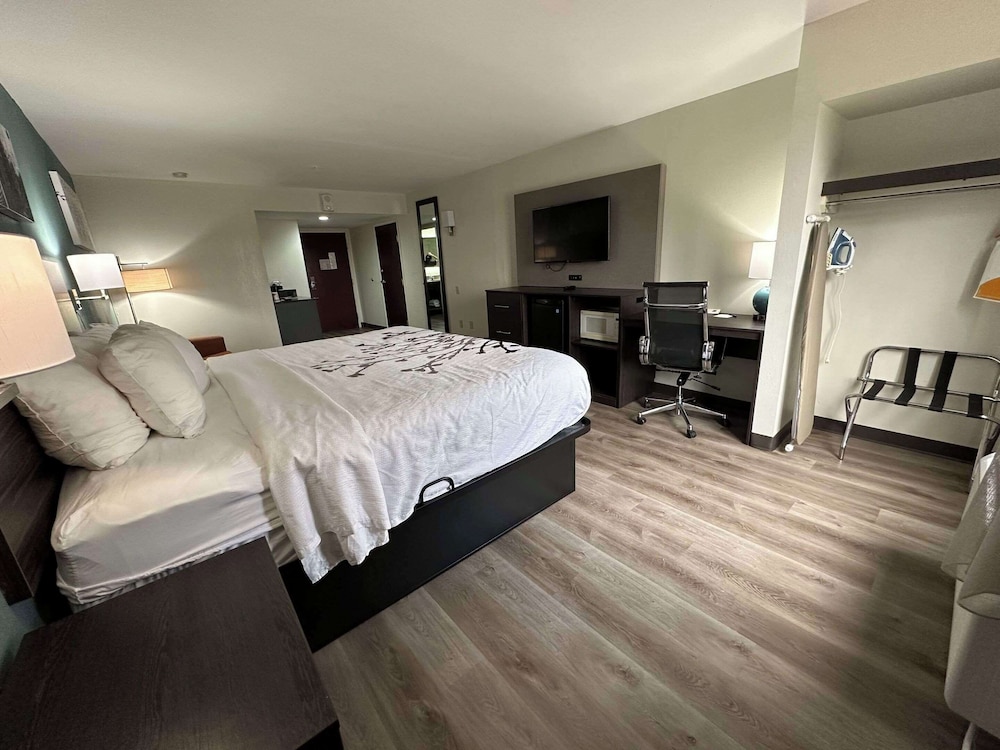 1 King Bed, Business Room, Efficiency, Suite, Nonsmoking - Photo 3