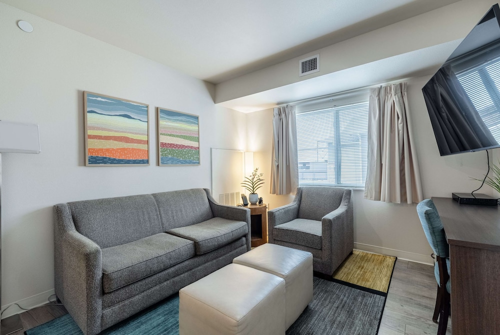 Suite, 1 Bedroom photo 2