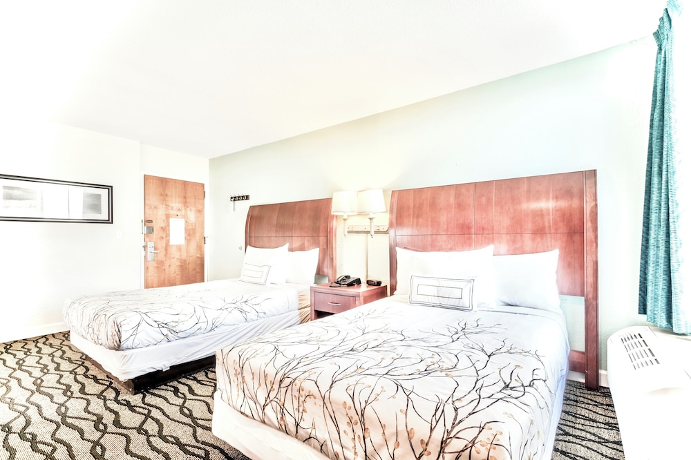 Standard Room, 2 Double Beds - Photo 12
