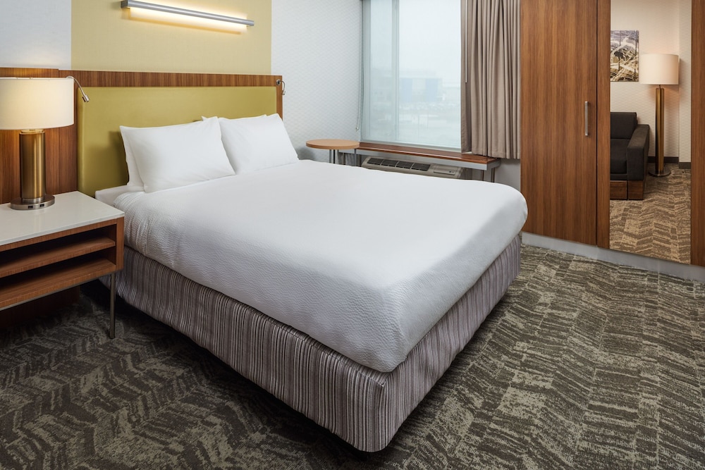Suite, 1 King Bed - Photo 6