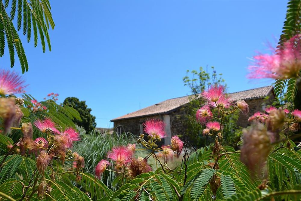 Family House photo 2