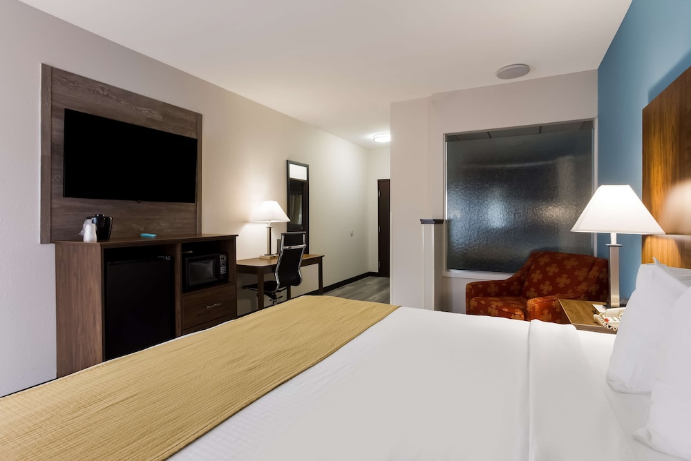 Standard Room, 1 King Bed, Non Smoking, Jetted Tub photo 1