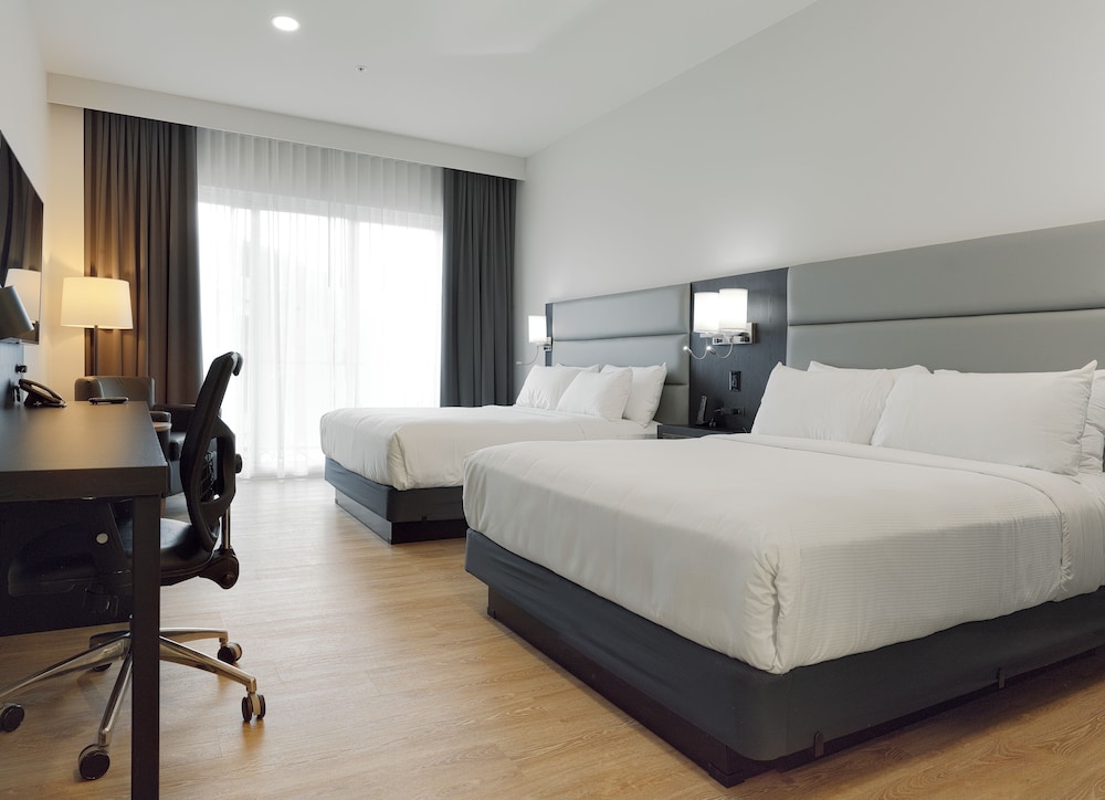 Room, 2 Queen Beds (Refuge Urbain) photo 2