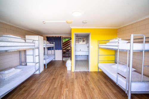Bed in 6-Bed Female Dormitory Room - Adult Only photo 1