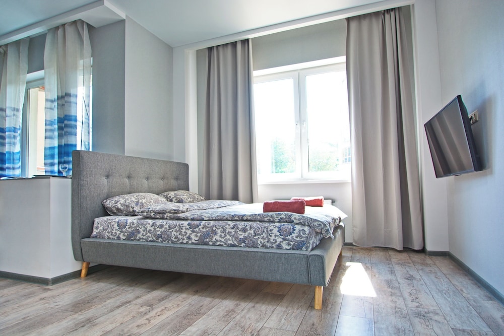 Basic Apartment, 1 Queen Bed, Kitchen (Nezavisimosti prosp., 88-301) photo 1