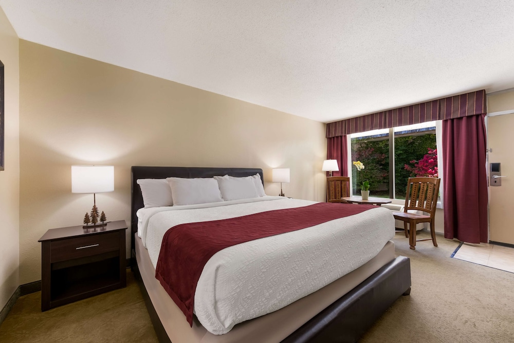 Suite, 1 King Bed, Accessible, Refrigerator & Microwave (With Sofabed) photo 1