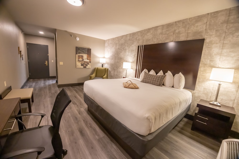 Standard Single Room, 1 King Bed