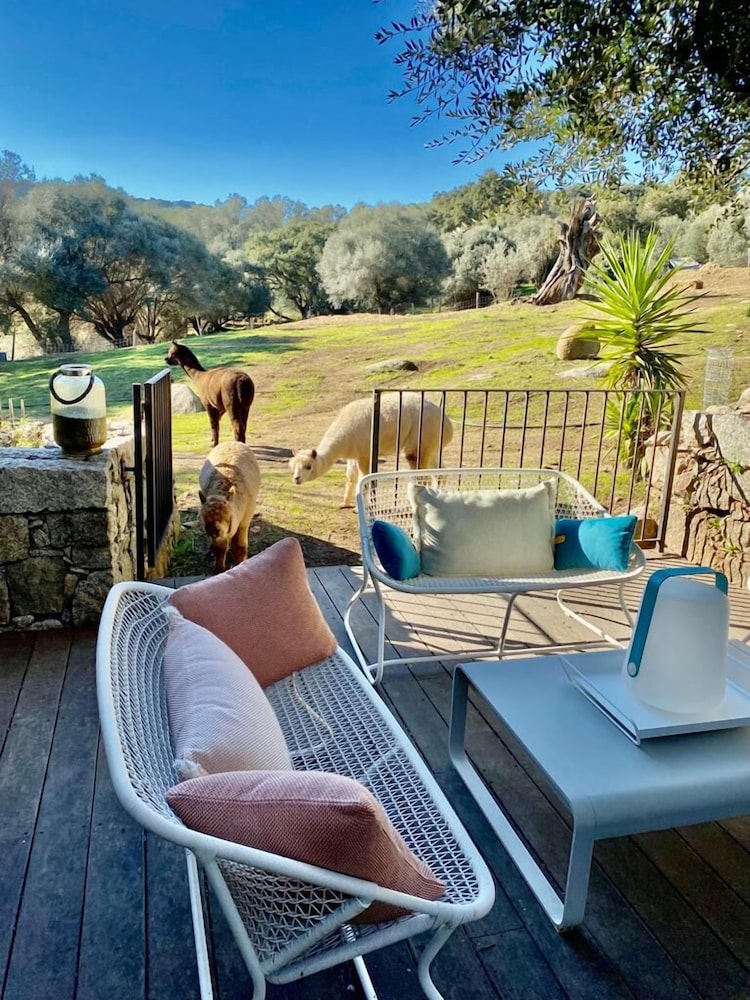 Deluxe Villa, Patio, Garden View