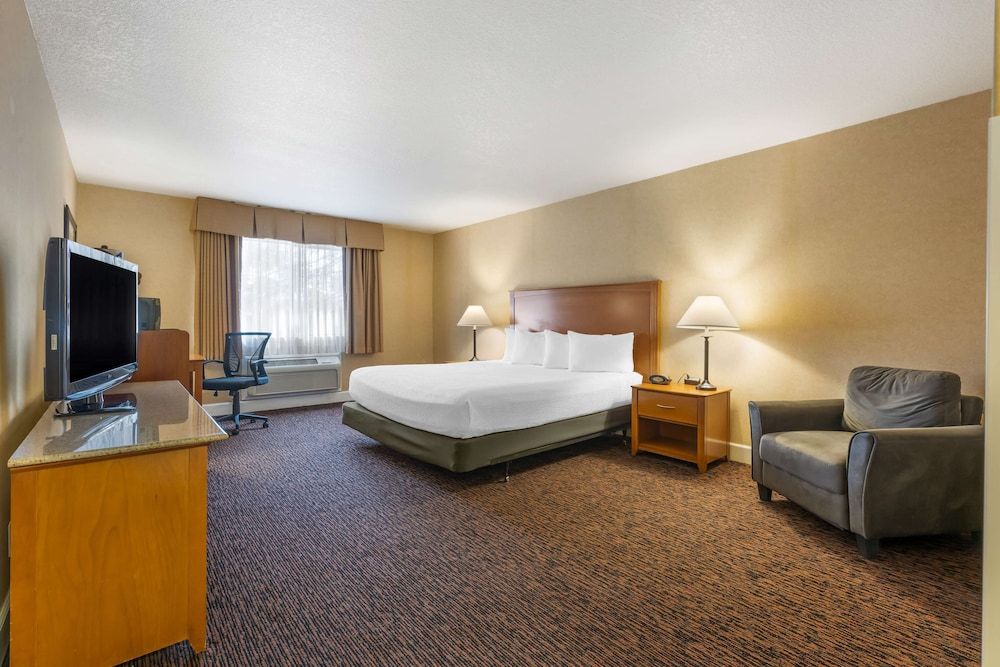 Standard Room, 1 King Bed, Non Smoking, Refrigerator & Microwave - Photo 1