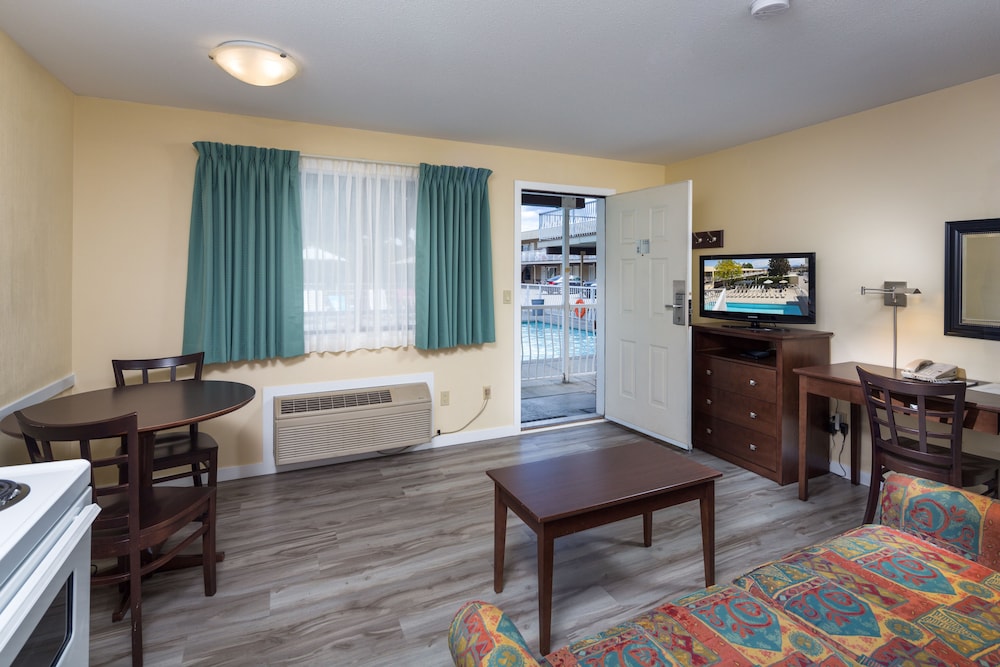 Suite, 1 Bedroom, Kitchen - Photo 6
