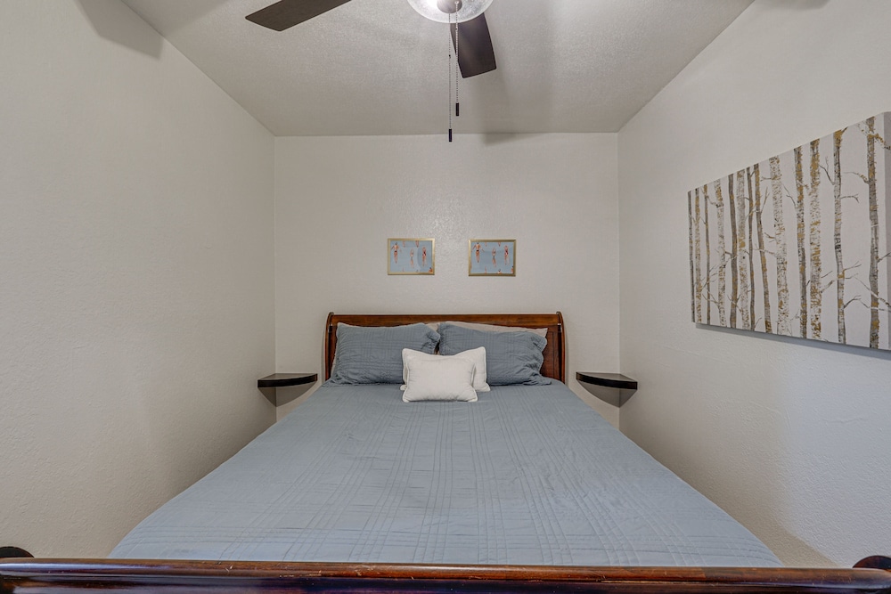 Apartment (1 Bedroom) photo 1