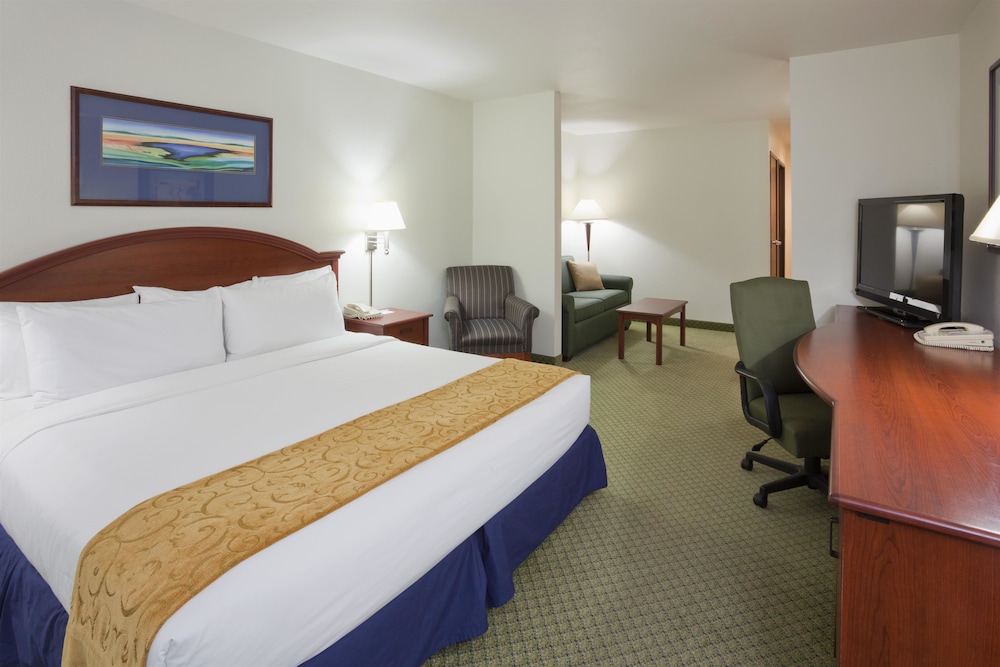 Suite, 1 King Bed with Sofa bed, Non Smoking