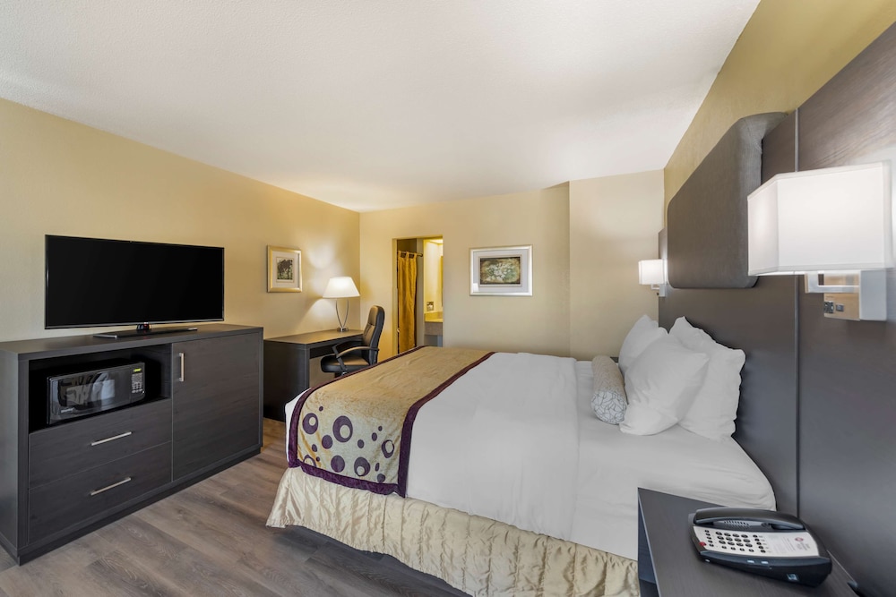 Standard Room, 1 King Bed, Accessible, Refrigerator & Microwave - Photo 3