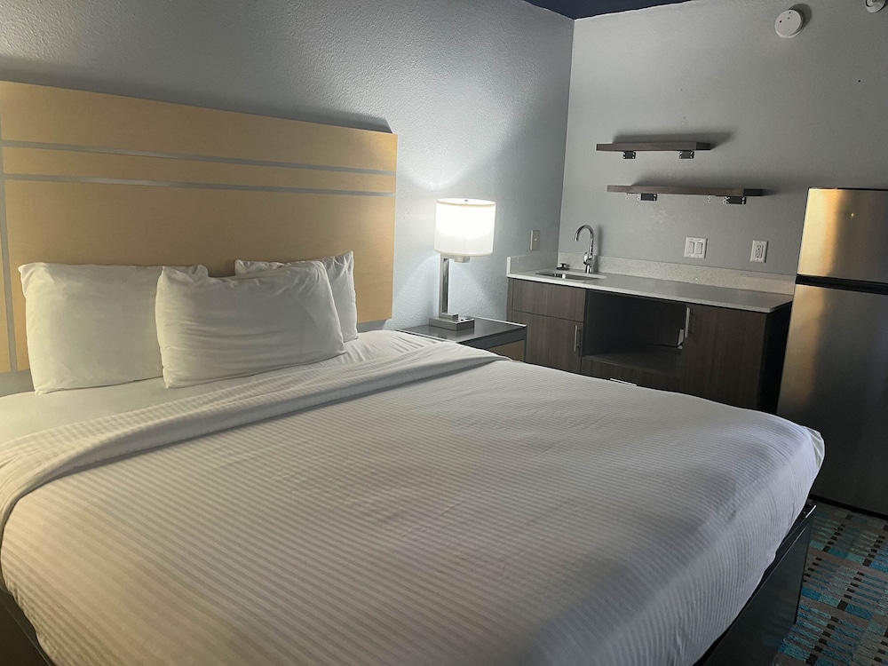 Standard Suite, 1 King Bed, Non Smoking, Kitchen - Photo 1