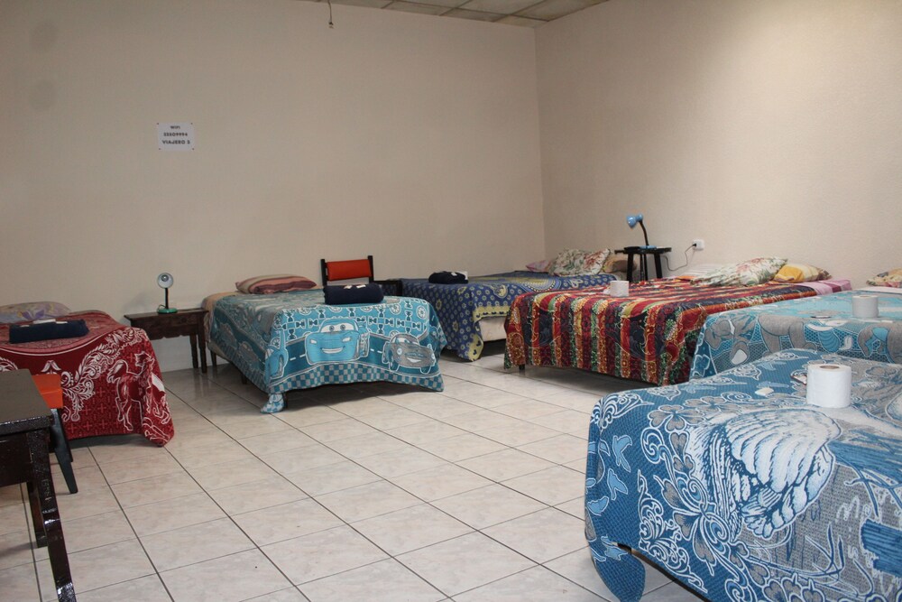 Comfort Shared Dormitory photo 1
