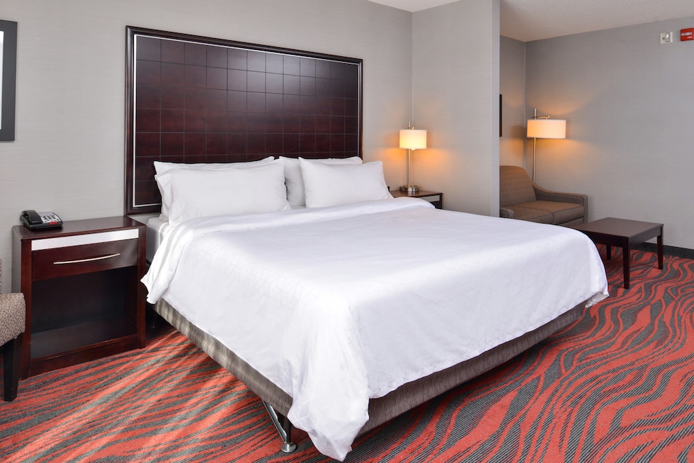 Standard Room, 1 King Bed, Accessible (Communications, Accessible Tub) photo 1