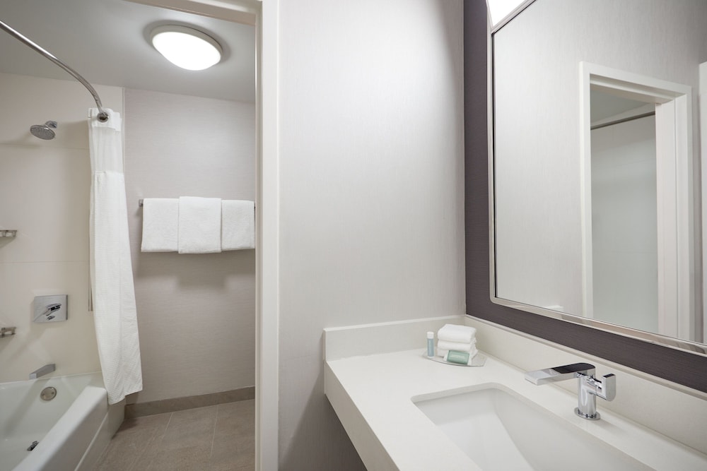 Suite, 1 King Bed with Sofa bed (Mobility/Hearing Accessible, Tub)
