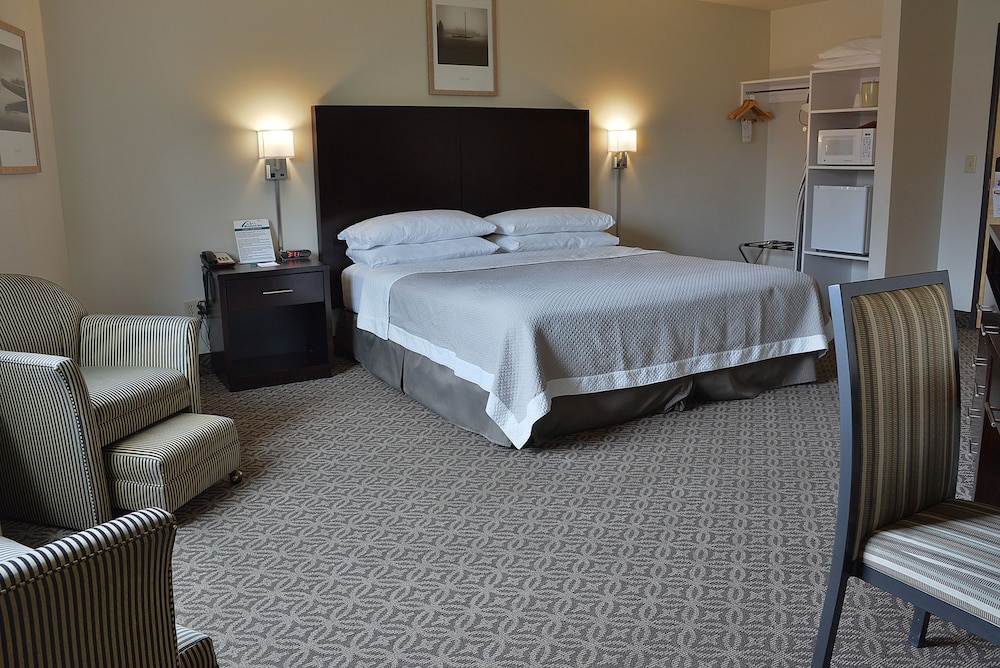 Executive Room, 1 King Bed, Refrigerator & Microwave photo 1