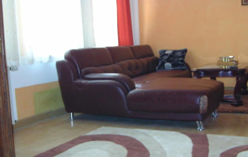 Classic Apartment, Accessible, City View photo 2