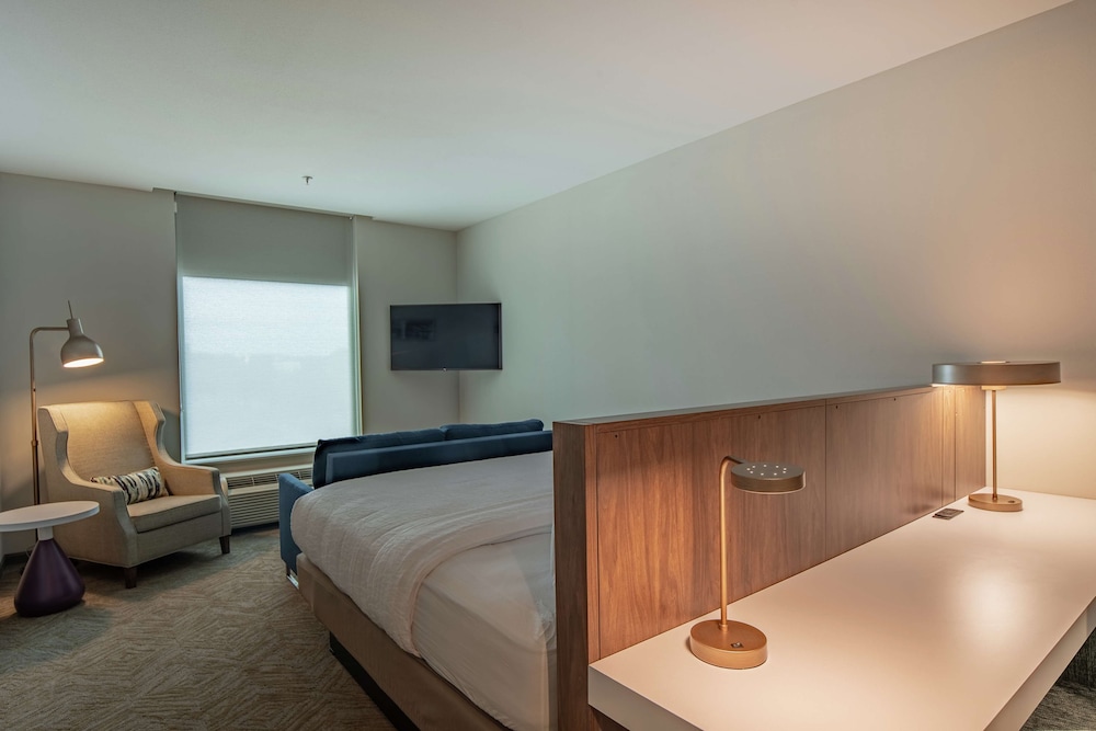 Premium Room, 1 King Bed, Accessible (Roll-in Shower) photo 1