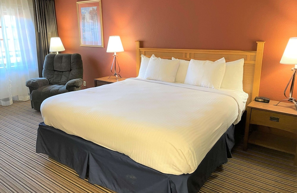 Standard Room, 1 King Bed, Non Smoking, Refrigerator & Microwave photo 1
