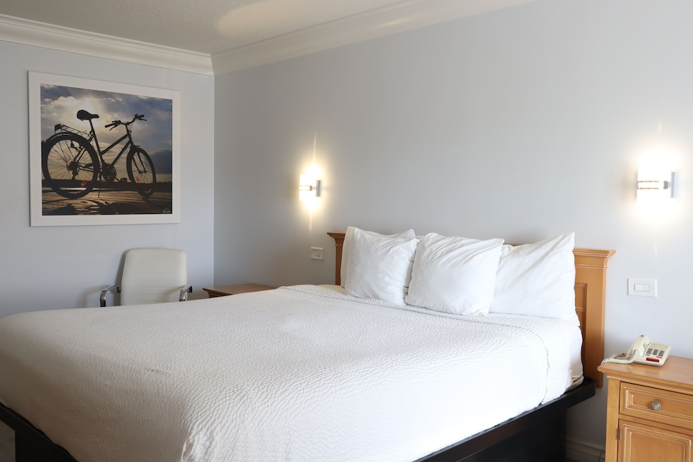 Standard Room, 1 King Bed - Photo 3
