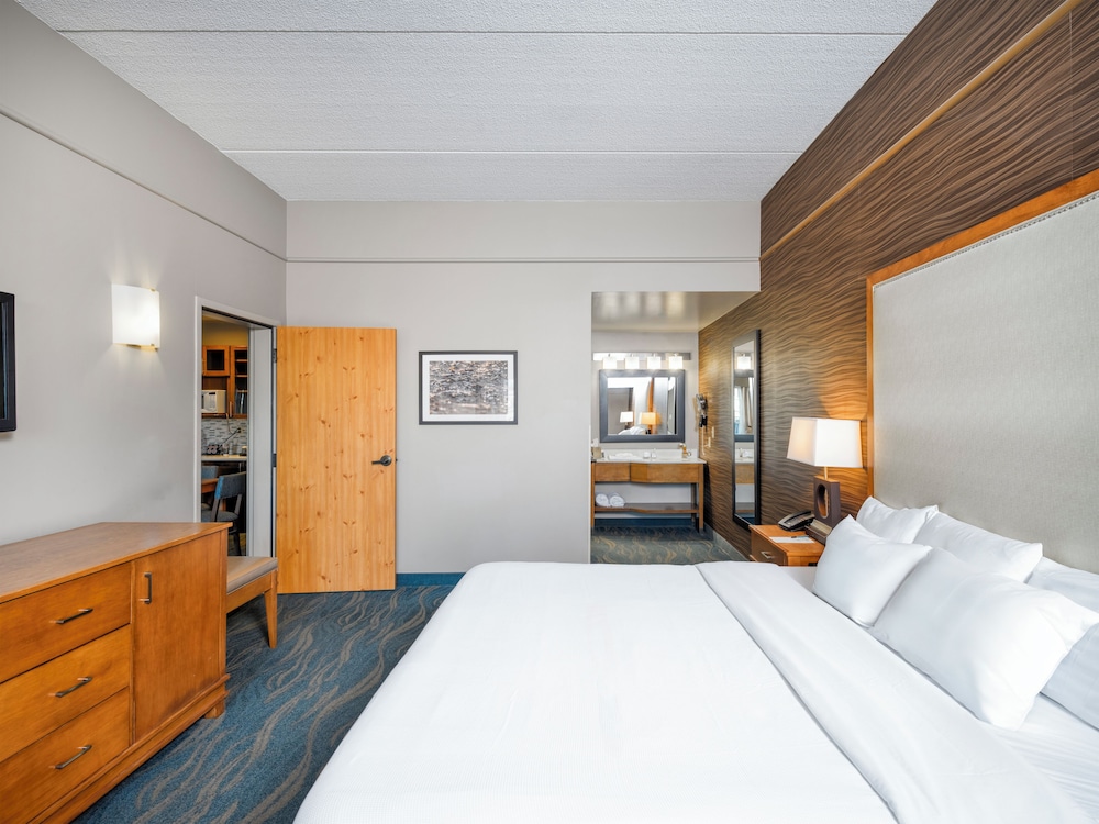 Suite, 1 King Bed photo 1