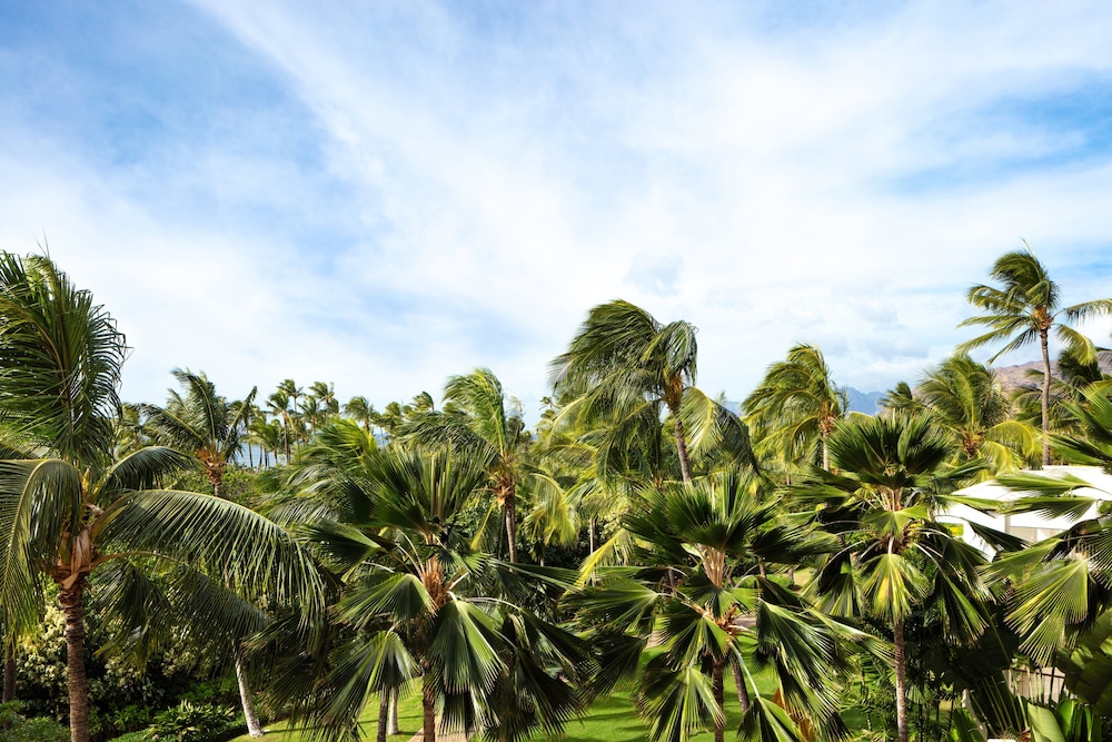 Deluxe Garden Room King