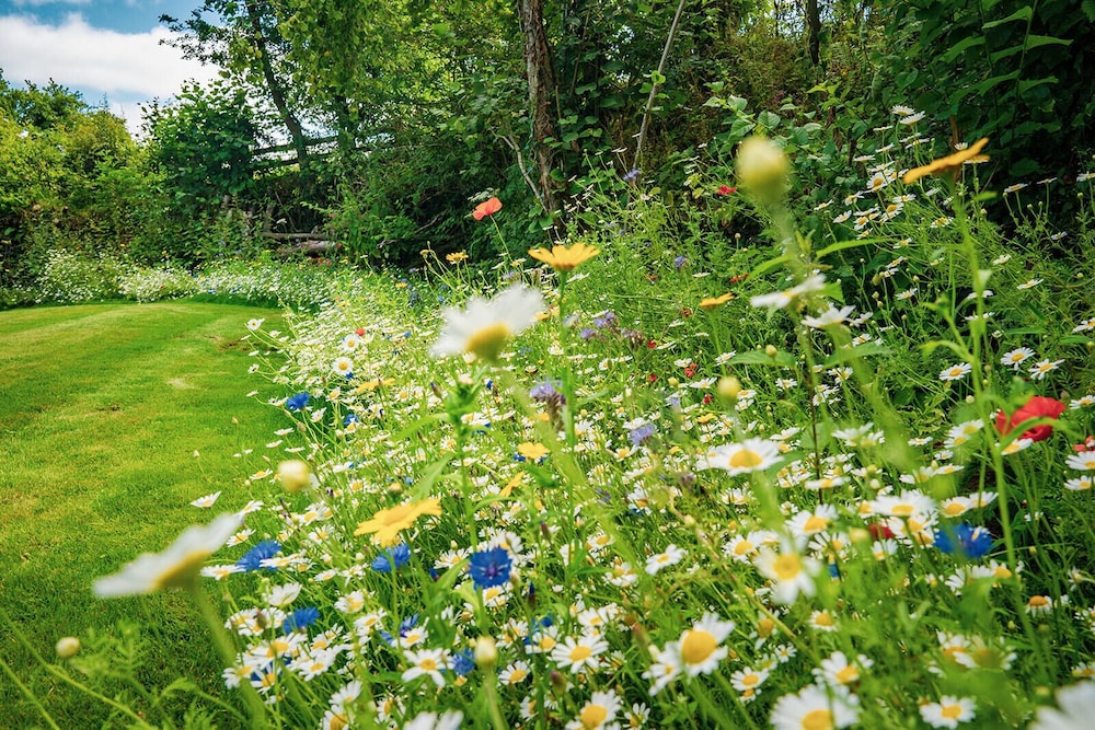 Weeke Brook - Quintessential Dachgeschoss Luxus Devon Cottage, Foto 38
