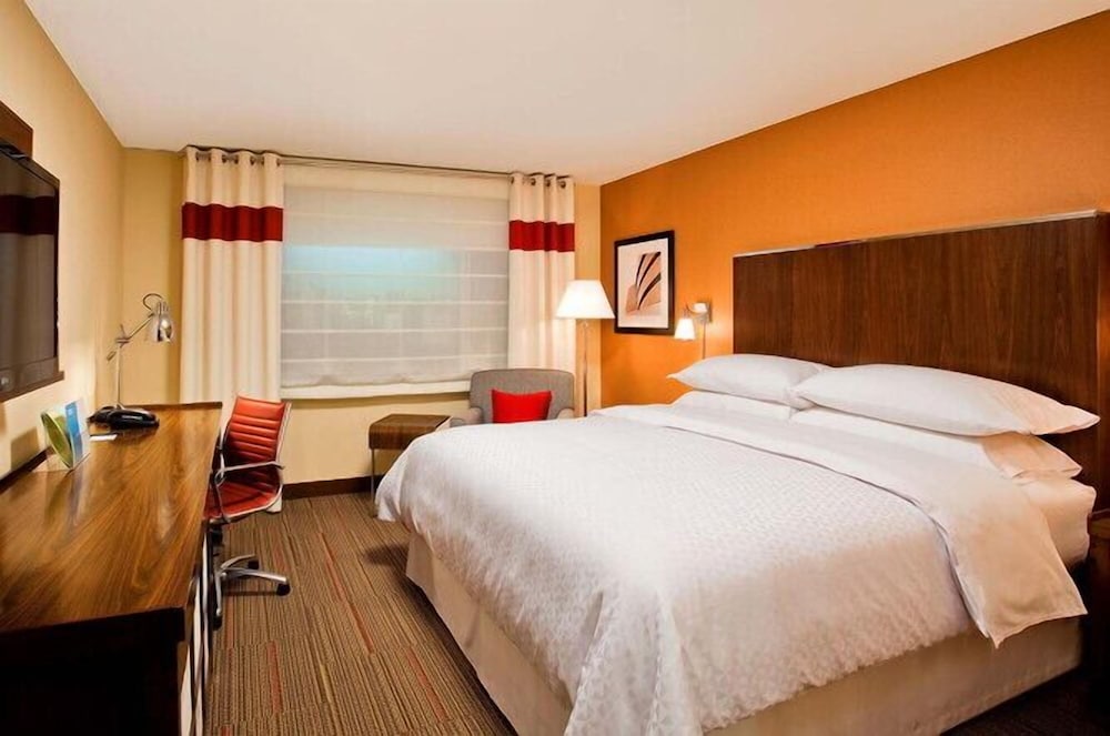 Traditional Room, 1 King Bed - Photo 3