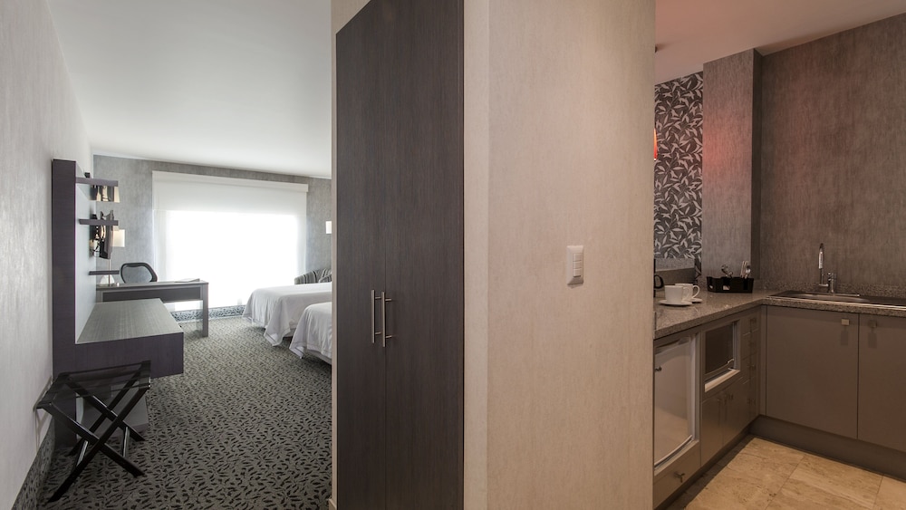 Studio Suite, 2 Queen Beds photo 3