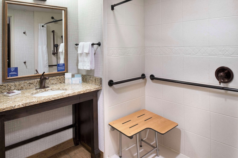 Room, 1 King Bed, Accessible (Mobility & Hearing, Roll-In Shower) photo 1