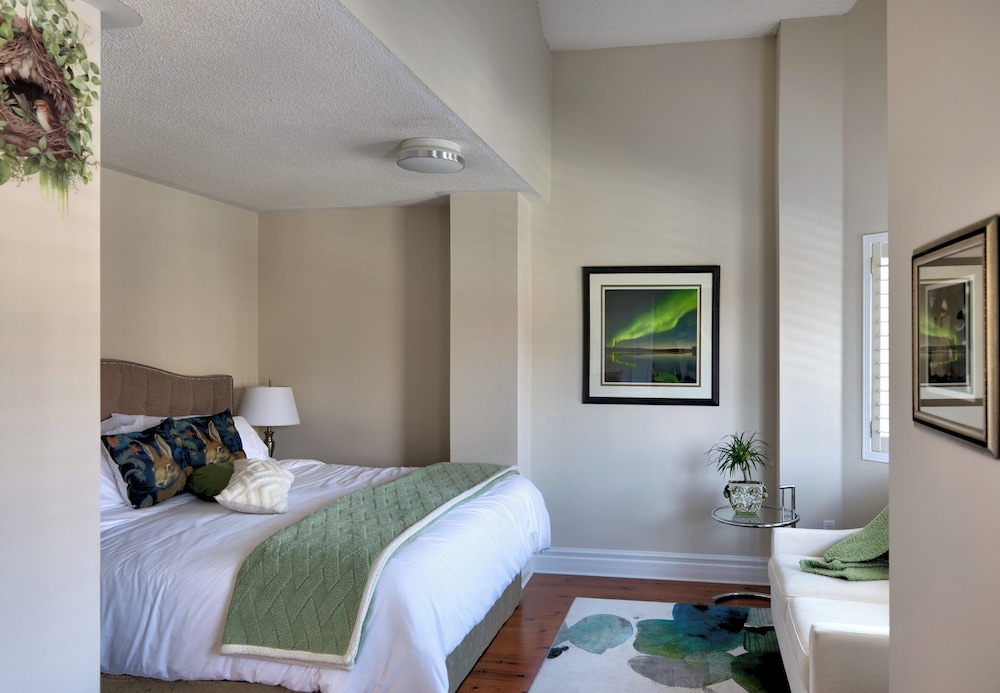 Superior Single Room, 1 King Bed, Air conditioning, City View