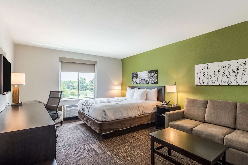 Suite, 1 King Bed with Sofa bed, Non Smoking (2 Person Sofa Bed)