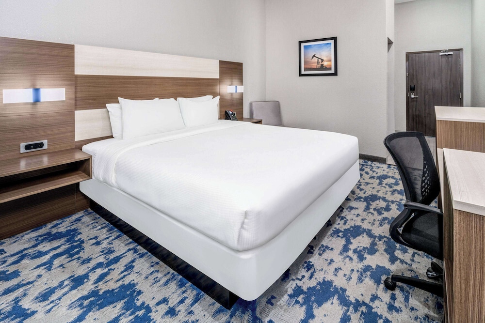 Room, 1 King Bed, Accessible, Non Smoking (Mobility,Roll-In Shower) - Photo 6